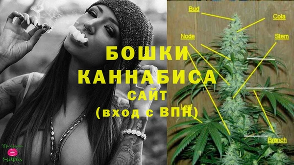 сатива Покачи