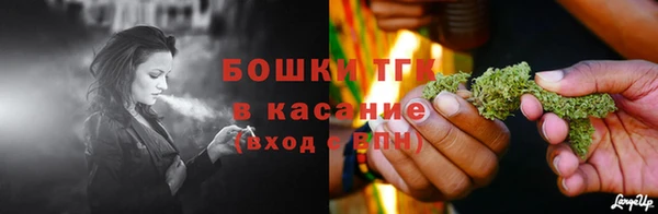ешки Арсеньев