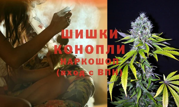 a pvp Аркадак
