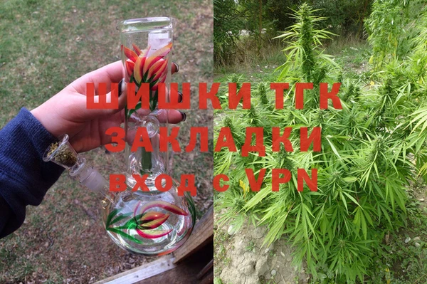 ешки Арсеньев