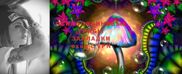 ешки Арсеньев