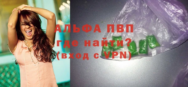 ешки Арсеньев