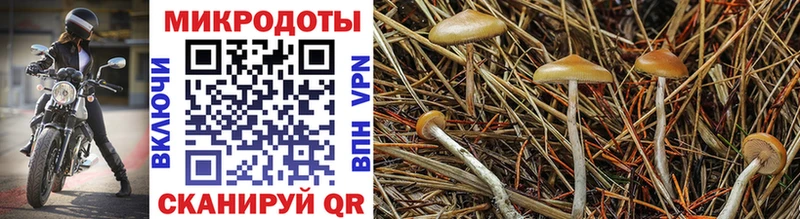 цены наркотик  Ухта  Псилоцибиновые грибы мицелий 